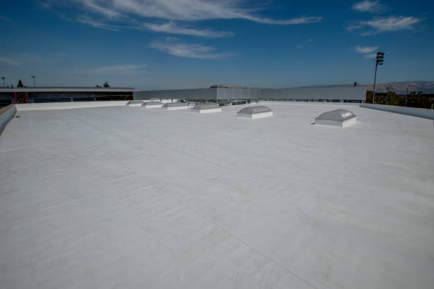 Best Roof Maintenance and Cleaning  in Inverness, CA