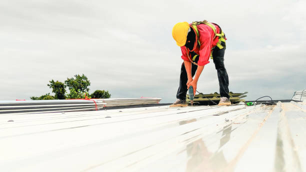 Best Gutter Replacement  in Inverness, CA