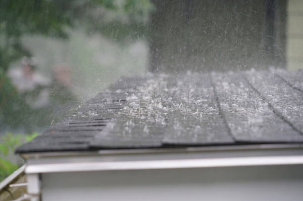 Best Sheet Metal Roofing  in Inverness, CA